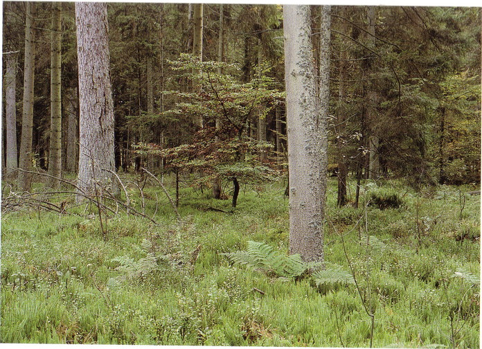 La nature prs de chez lui