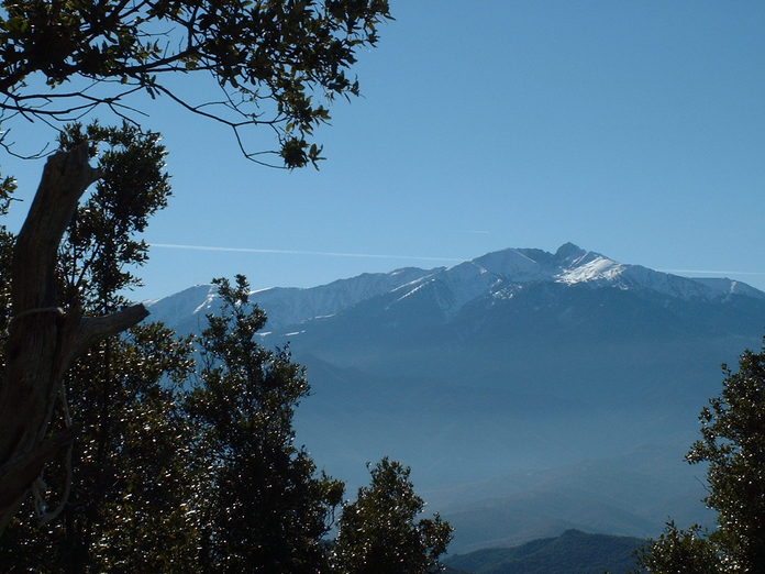 Le Canigou en lumire d'hiver