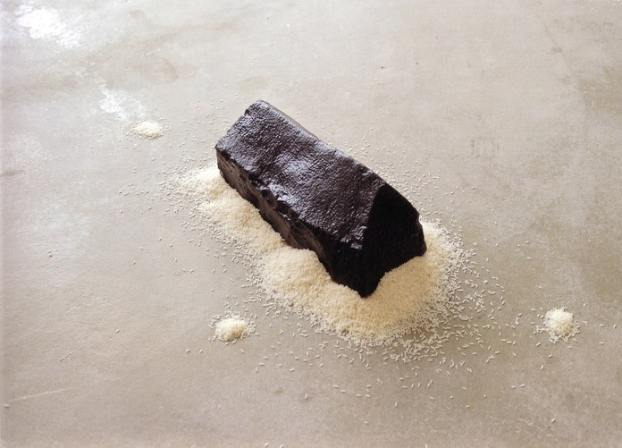 Maison de riz