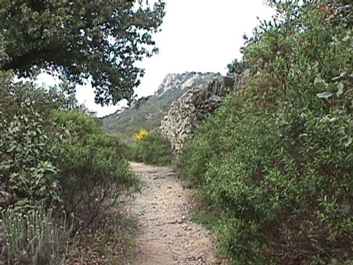 Sentier. Au fond, le Roc del Maure.